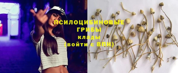 таблы Семёнов