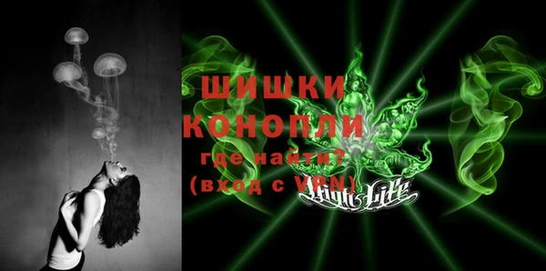 ПСИЛОЦИБИНОВЫЕ ГРИБЫ Семилуки